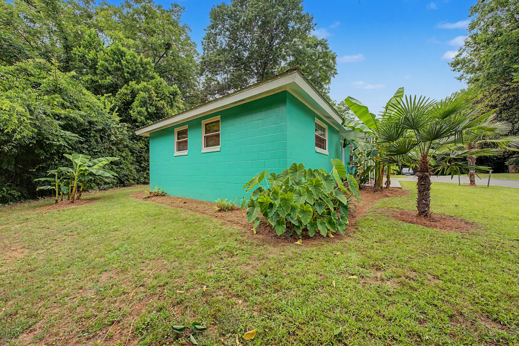 19 Backyard Green Space